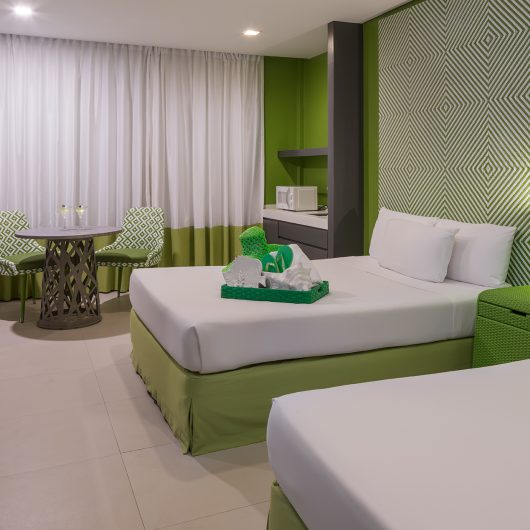 AB1-Luxury-Room-green-room-1